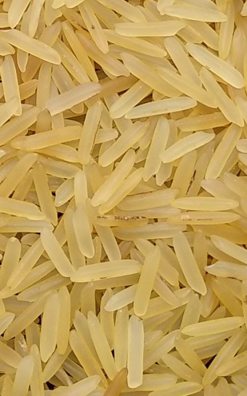 1121 Golden Sella Rice