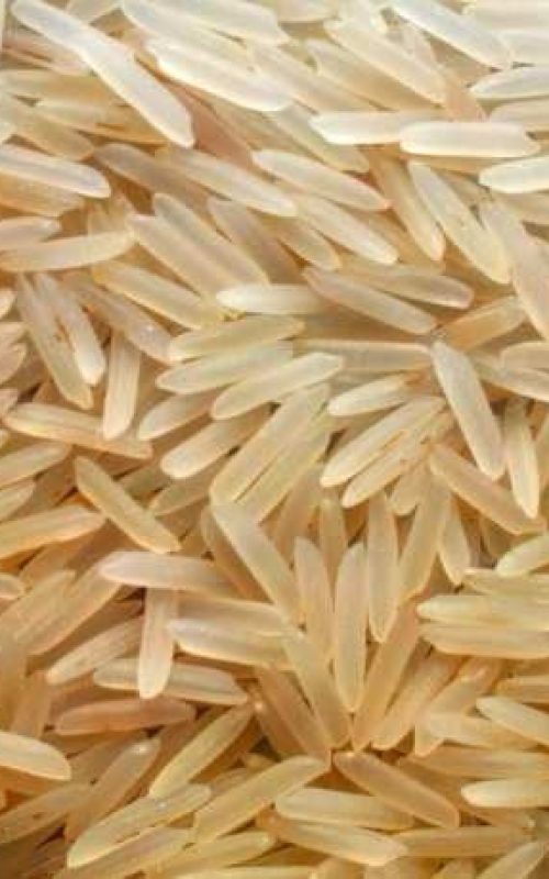 1509 Golden Sella Rice