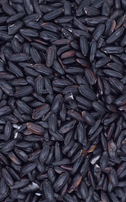 BLACK RICE