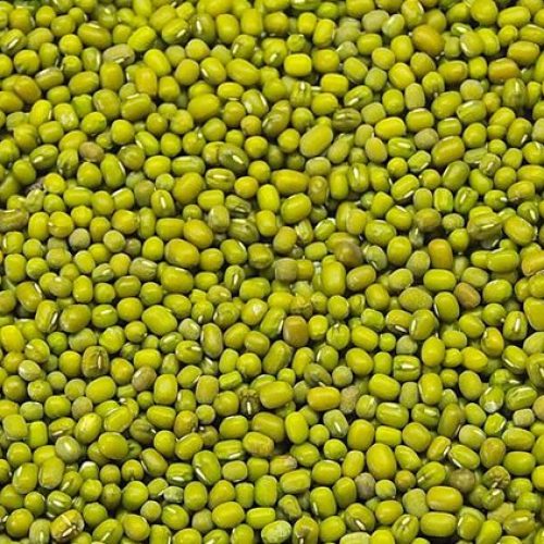 Mung Bean