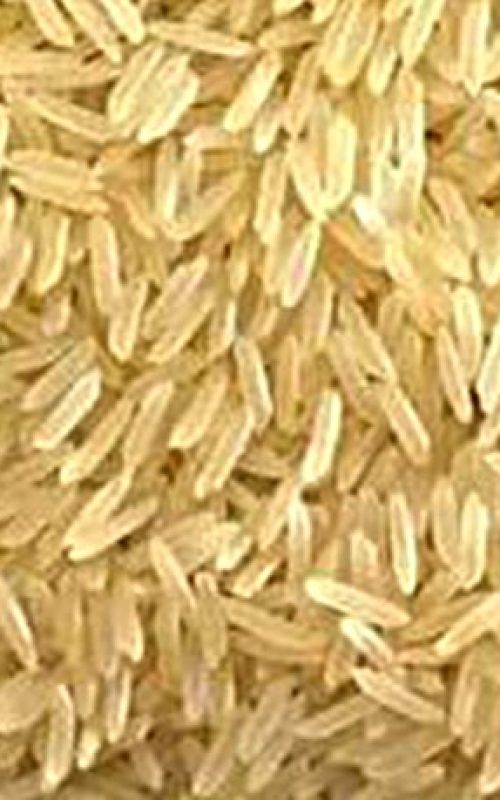 Sugandha Golden sella Rice