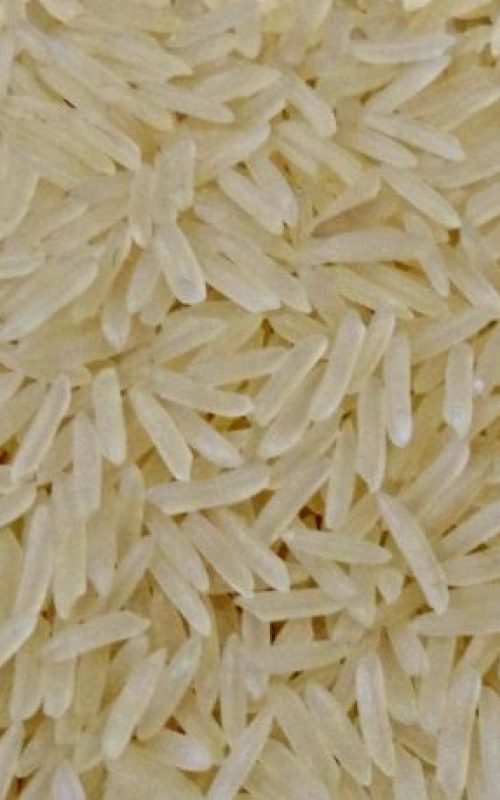 Sugandha creamy Rice