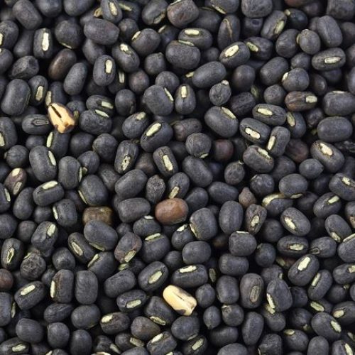 black matpe