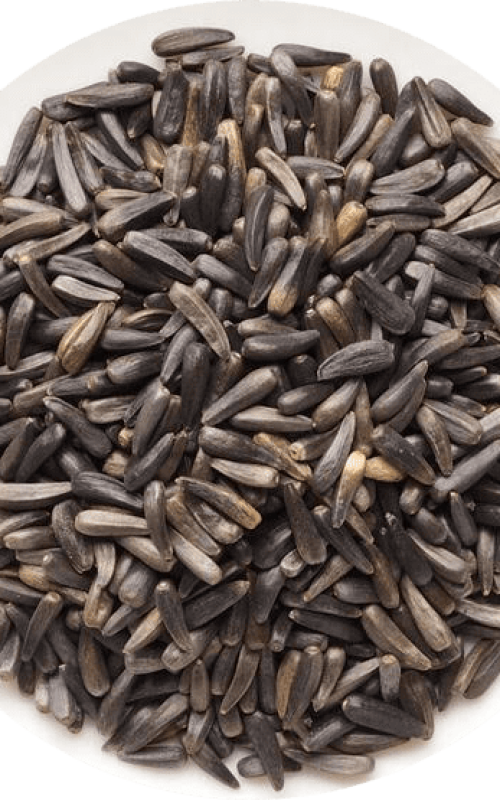 niger seed